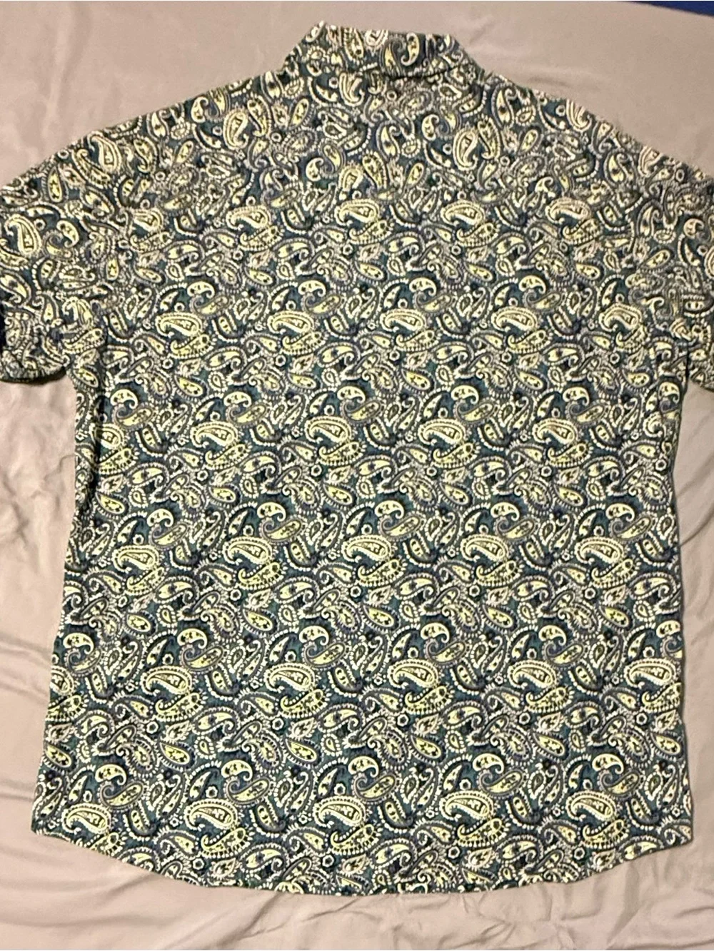 Cinch Modern Fit Green Paisley & Ariat Pro Series Blue Plaid Men’s XL Shirts Lot